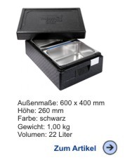 Thermobox Icebox fr 2 Eisbehlter