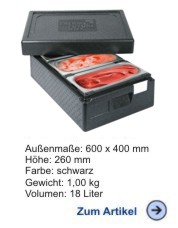 Thermobox Icebox fr 3 Eisbehlter