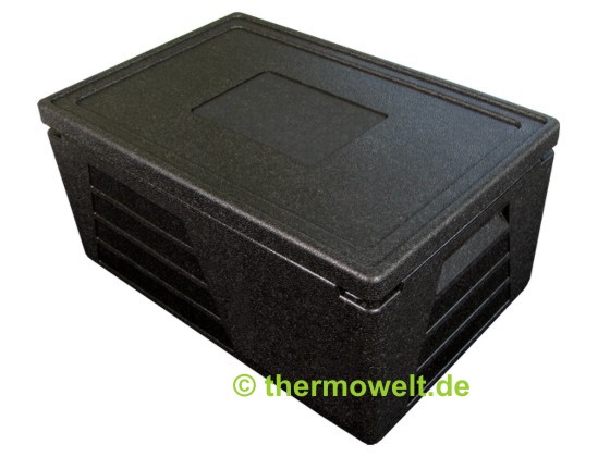 Thermobox 1/1 GN 230mm Thermowelt Basic