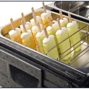 Thermobox für 2 Eisbehälter