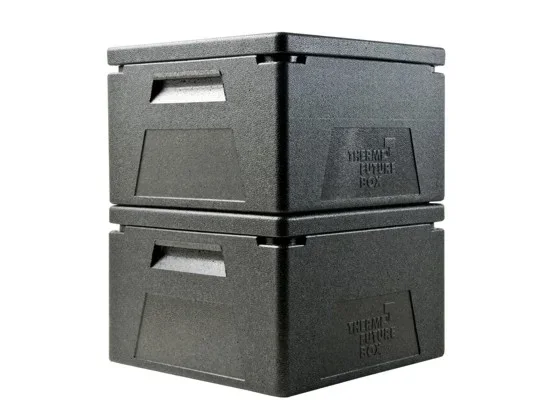 Thermobox 2/3 GN und Pizza, 210mm ECO Budget