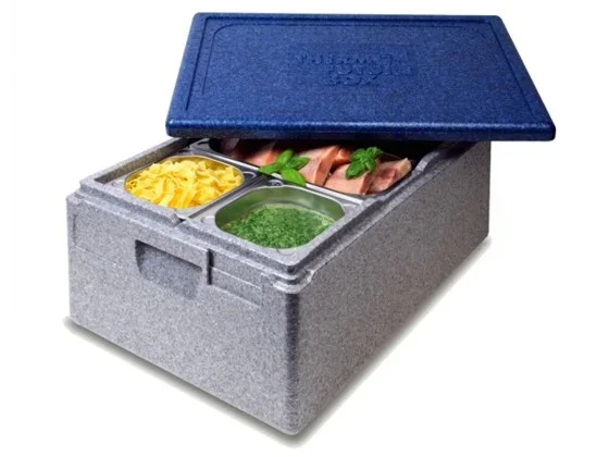 Thermobox 1/1 Gastronorm 257mm silbergrau / blau