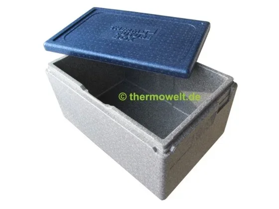Thermobox 1/1 Gastronorm 257mm silbergrau / blau
