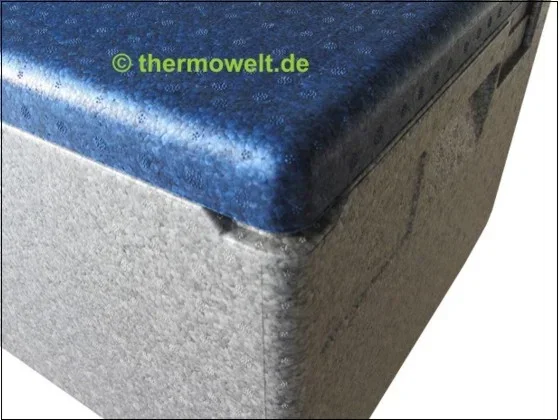 Thermobox 1/1 Gastronorm 257mm silbergrau / blau