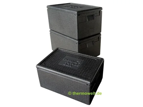 3 x Thermobox 1/1 Gastronorm 257mm