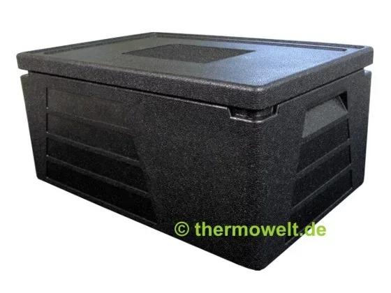 4 x Thermobox 1/1 GN 230mm Thermowelt BASIC LINE