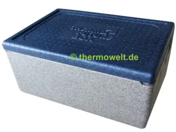 Thermobox 1/1 Gastronorm 217mm silbergrau / blau