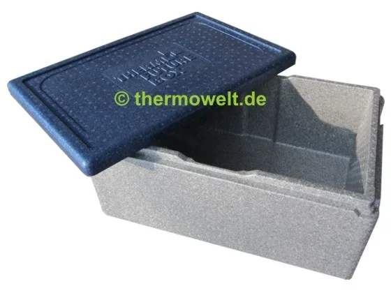 Thermobox 1/1 Gastronorm 217mm silbergrau / blau