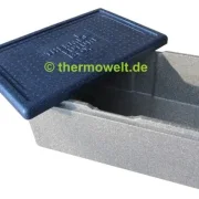 Thermobox 1/1 Gastronorm 217mm silbergrau / blau