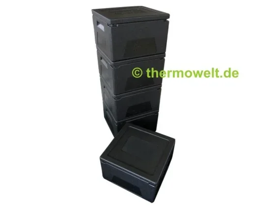 6 x Pizzabox 210mm Thermowelt BASIC LINE, schwarz