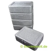 Dinner-Box Komplettset ( Thermo Lunchbox )