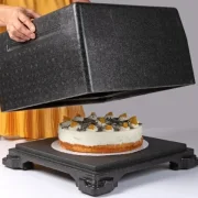 Thermobox Cake-Box