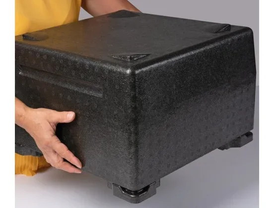 Thermobox Cake-Box
