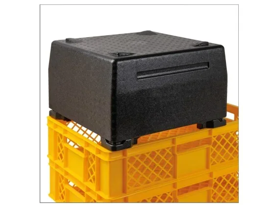 Thermobox Cake-Box