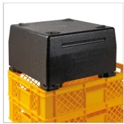 Thermobox Cake-Box