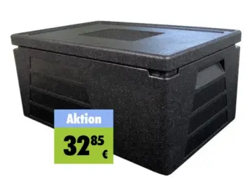Thermobox 1/1 GN 230mm Thermowelt BASIC LINE