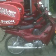 Thermobox Lieferservice Pizza 110 Liter